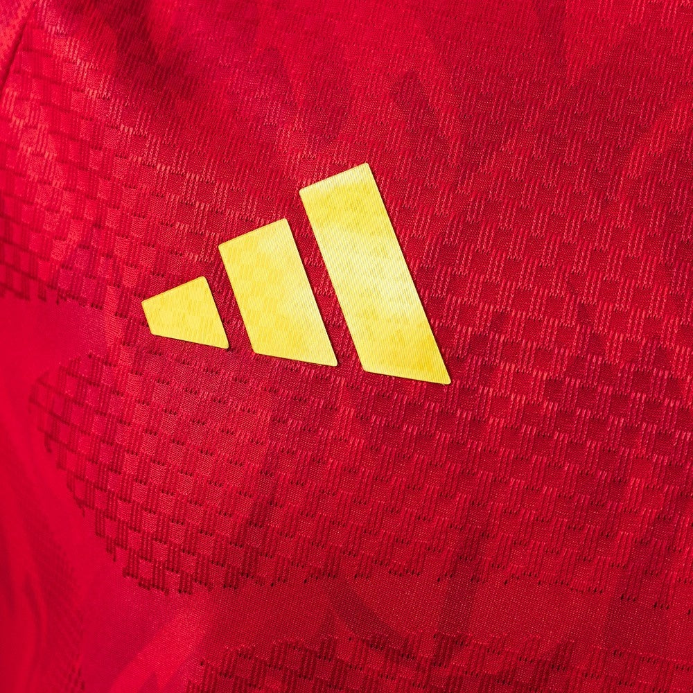 Player Version Belgium Home Jersey 2026 World Cup Player Version Football Kit Soccer Shirt