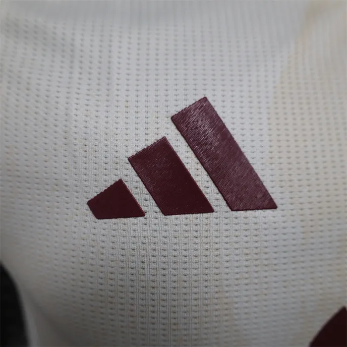 Player Version AS Roma Away Kit 24/25 Football Jersey