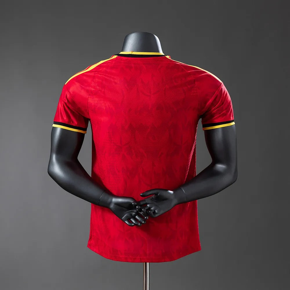 Player Version Belgium Jersey 2026 World Cup Football Kit Player Version