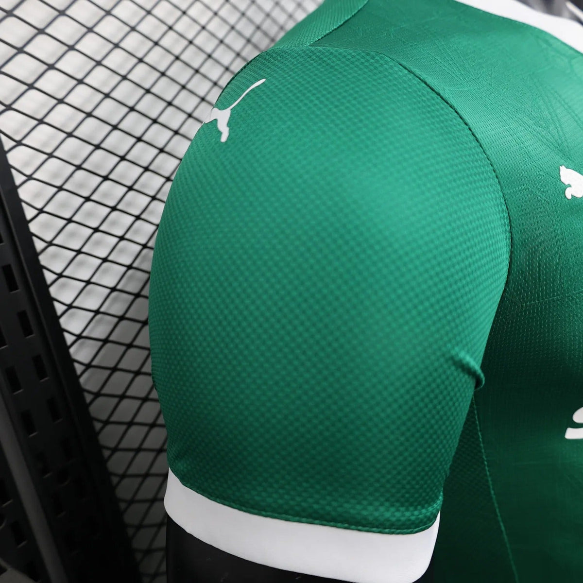Player Version Palmeiras Jersey 25/26 Home Football Kit Soccer Jersey