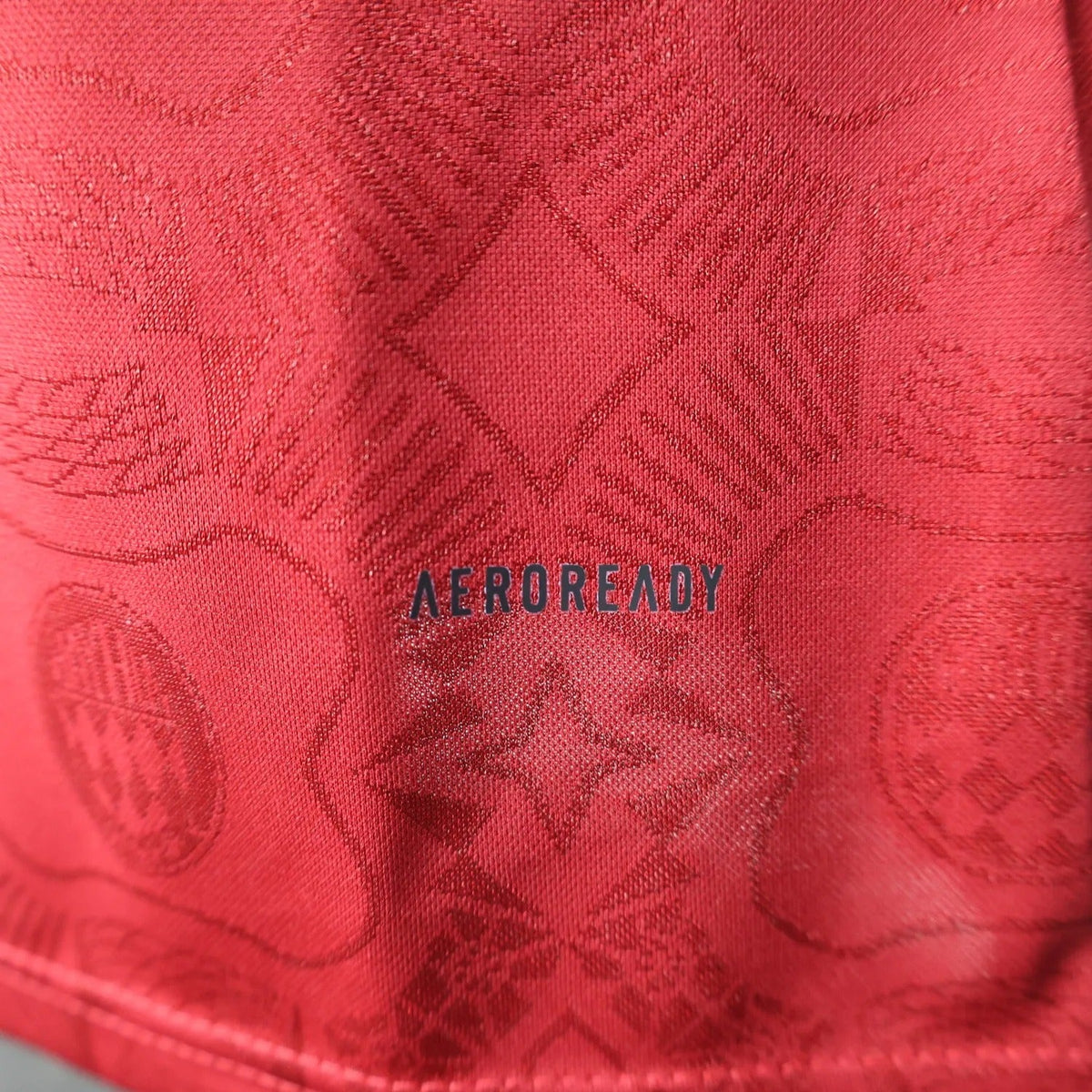 Player Version Bayern Munich Jersey 25/26 Anniversary Edition Long Sleeves Football Kit Soccer Jersey