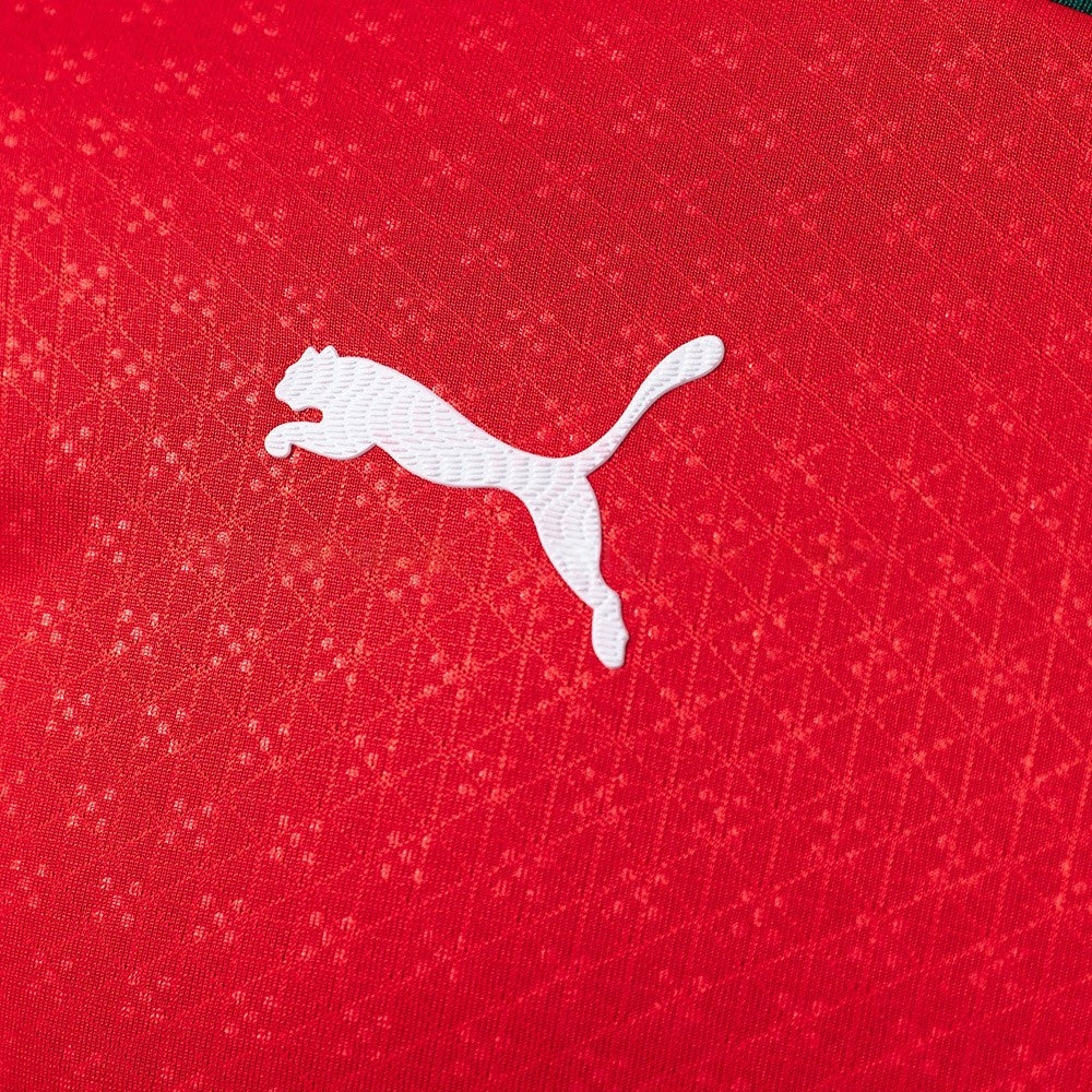 Player Version Portugal Jersey 2025/26 Home Football Kit Long Sleeves Player Version