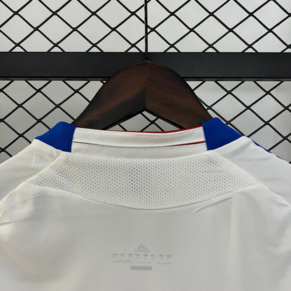 Olympique Lyonnais Jersey 2010-11 Home Football Kit Soccer Jersey