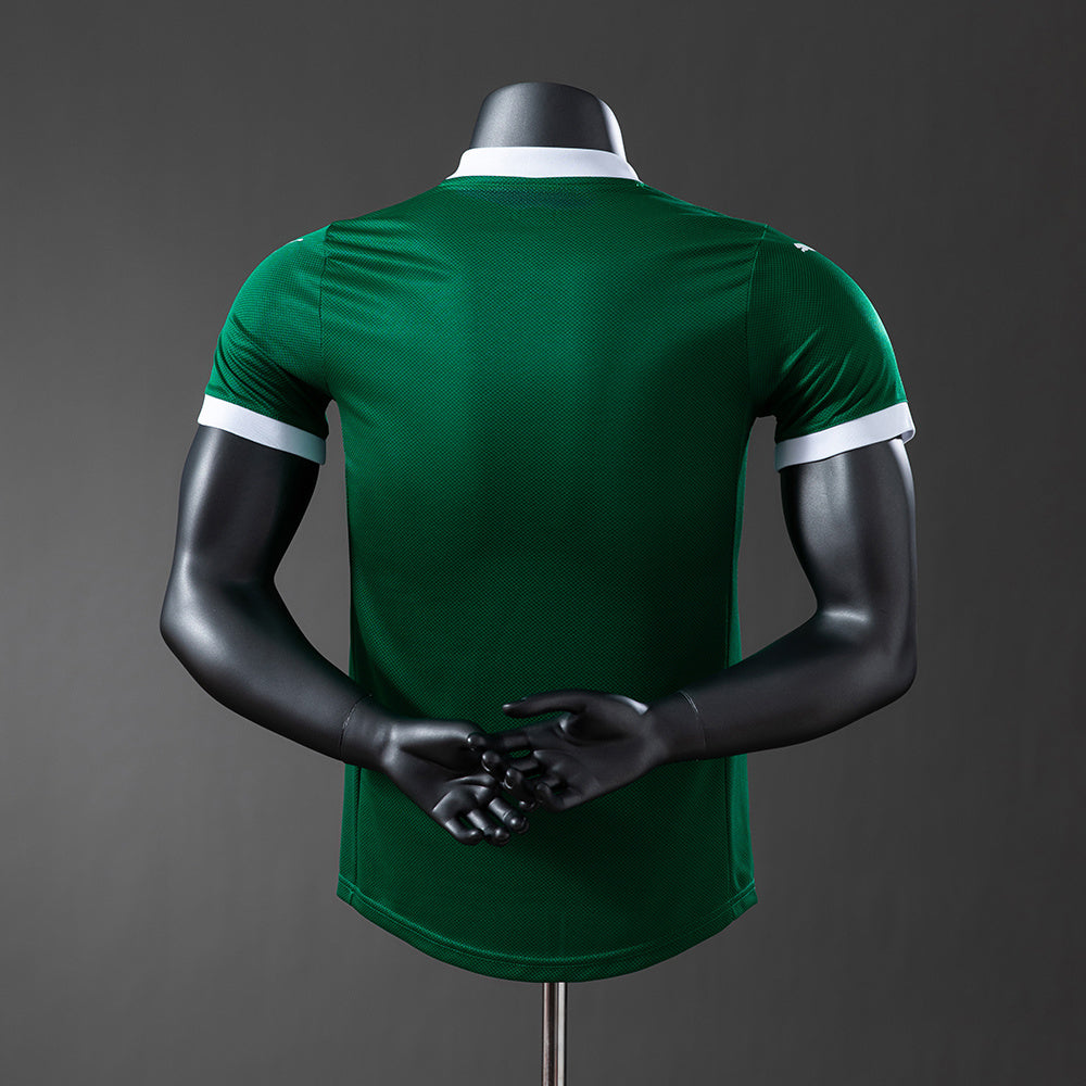 Player Version Palmeiras Jersey 25/26 Home Football Kit Player Version