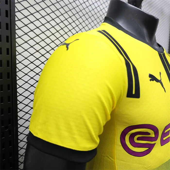Player Version Dortmund Special Kit 24/25 Football Jersey