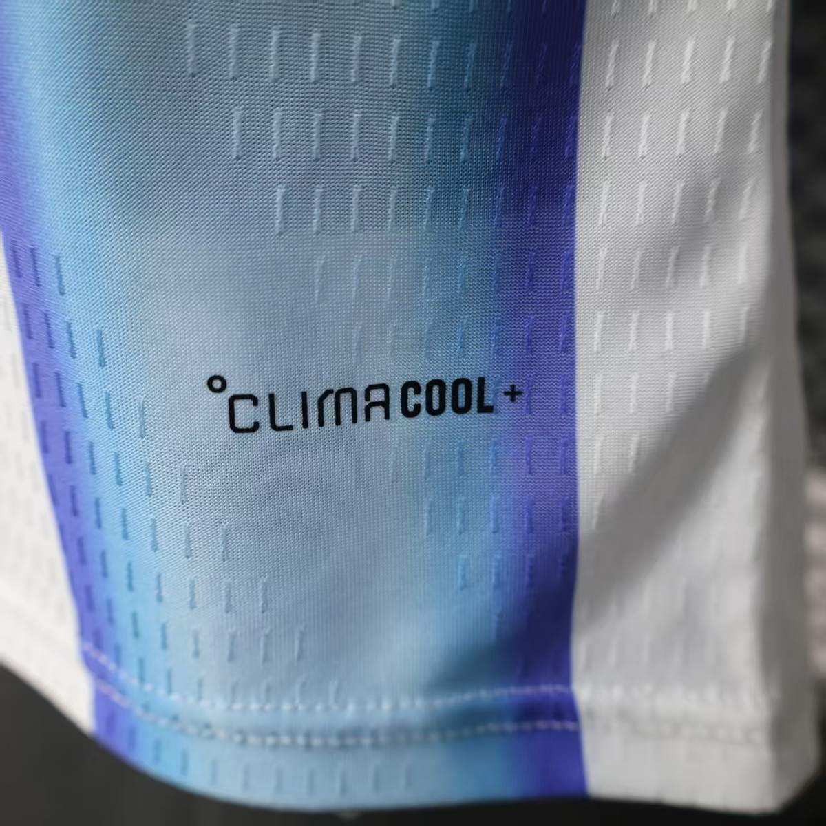 Argentina 2026 National Team Jersey