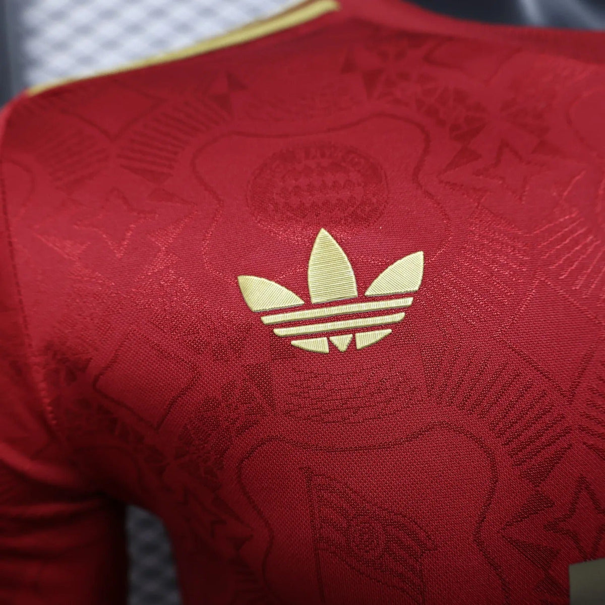 Player Version Bayern Munich Jersey 25/26 Anniversary Edition Long Sleeves Football Kit Soccer Jersey