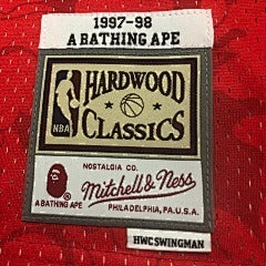 BAPE M&n Joint Jersey Bulls Ape
