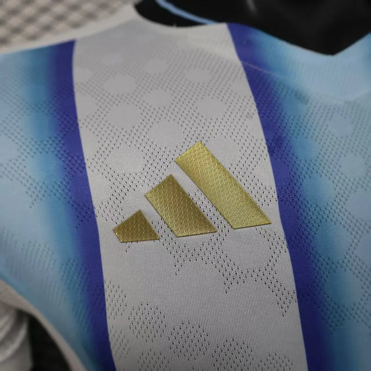 Player Version Argentina Jersey 2026 World Cup Football Kit Soccer Jersey
