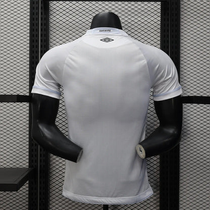Player Version Santos Jersey 25/26 Football Kit Soccer Jersey