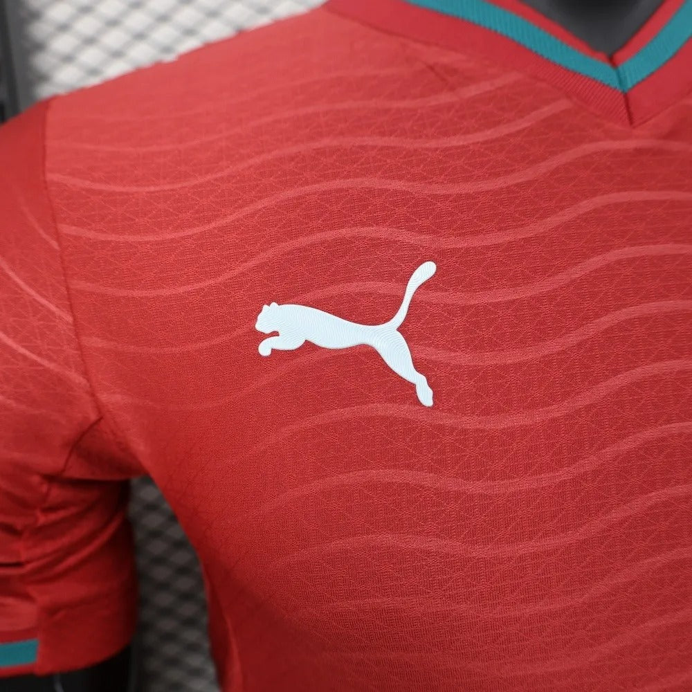 Player Version Portugal Jersey 2026 World Cup Football Kit Player Version