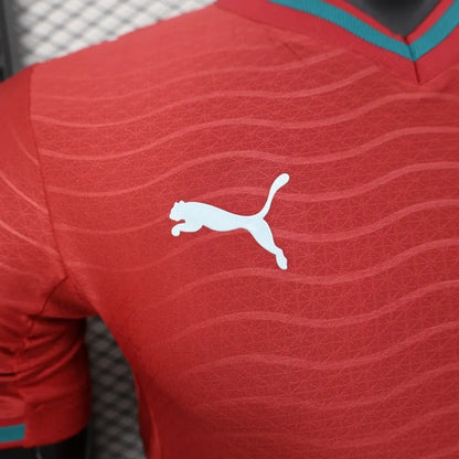Player Version Portugal Jersey 2026 World Cup Football Kit Player Version